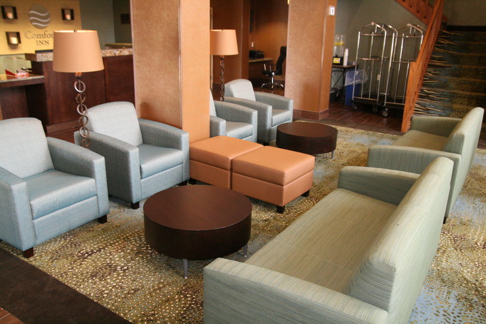 Comfort Inn Pine Grove I-81 Hershey Area Exteriör bild